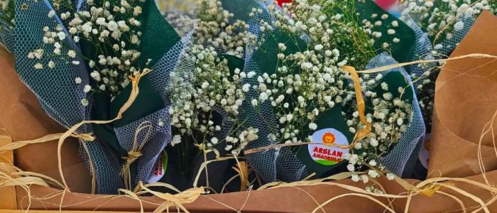 101441a4-bf12-42c2-a69e-5f20d4bf321e